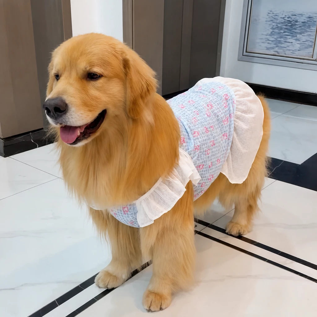 Lightweight Mesh Dog Dress for Warm-Weather Lounging
