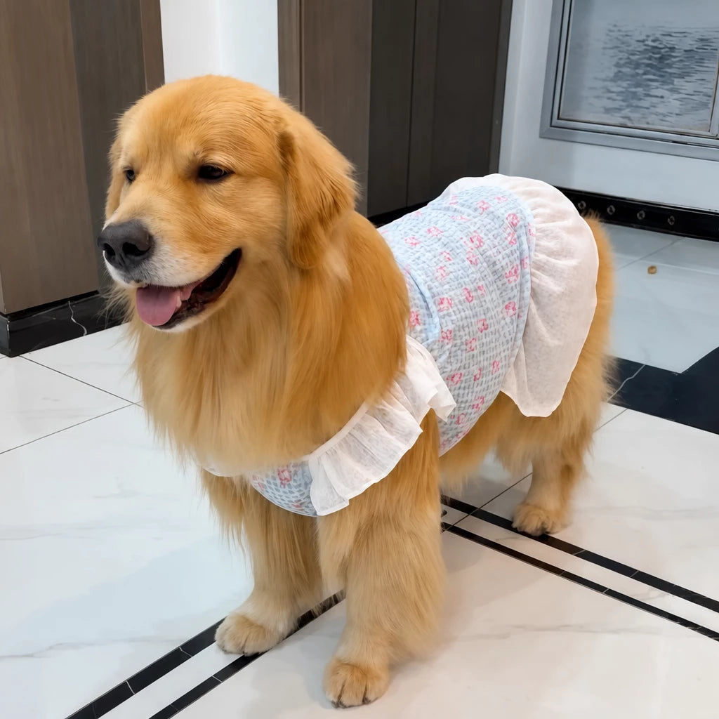 Lightweight Mesh Dog Dress for Warm-Weather Lounging