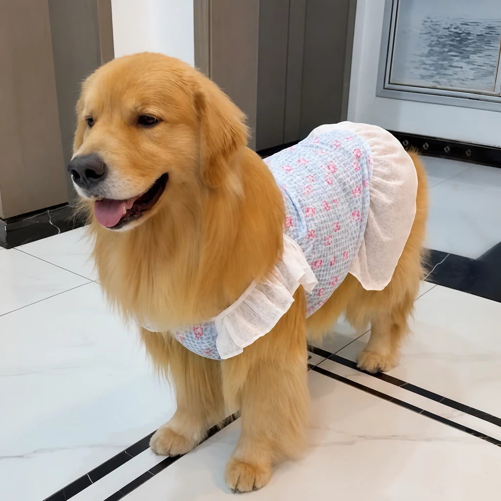 Lightweight Mesh Dog Dress for Warm-Weather Lounging
