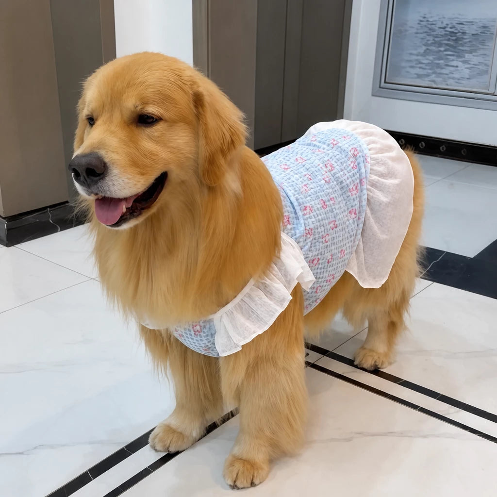 Lightweight Mesh Dog Dress for Warm-Weather Lounging