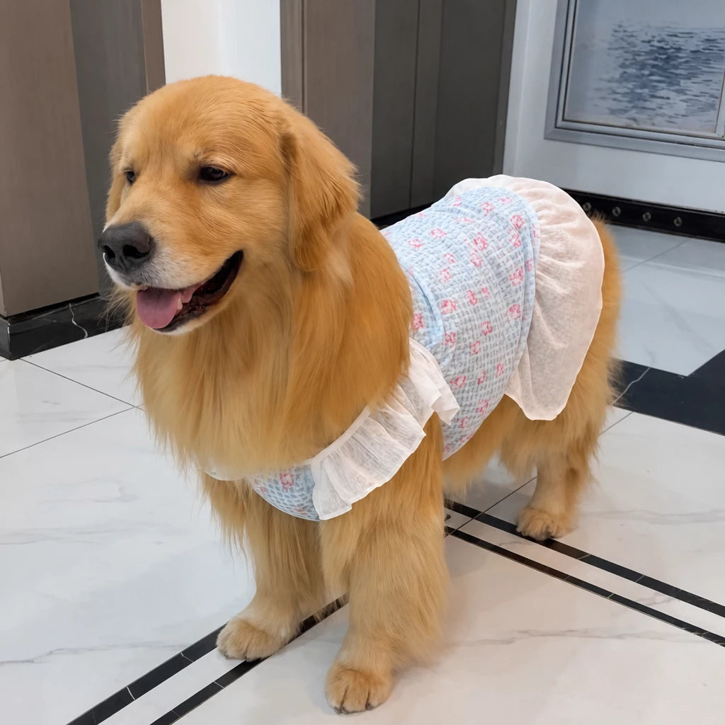 Lightweight Mesh Dog Dress for Warm-Weather Lounging