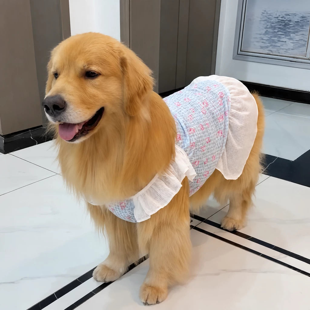 Lightweight Mesh Dog Dress for Warm-Weather Lounging
