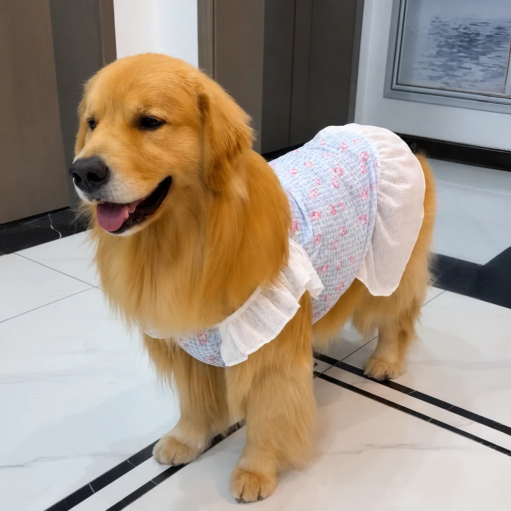 Lightweight Mesh Dog Dress for Warm-Weather Lounging