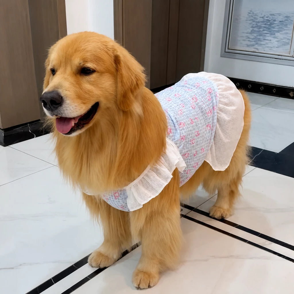 Lightweight Mesh Dog Dress for Warm-Weather Lounging
