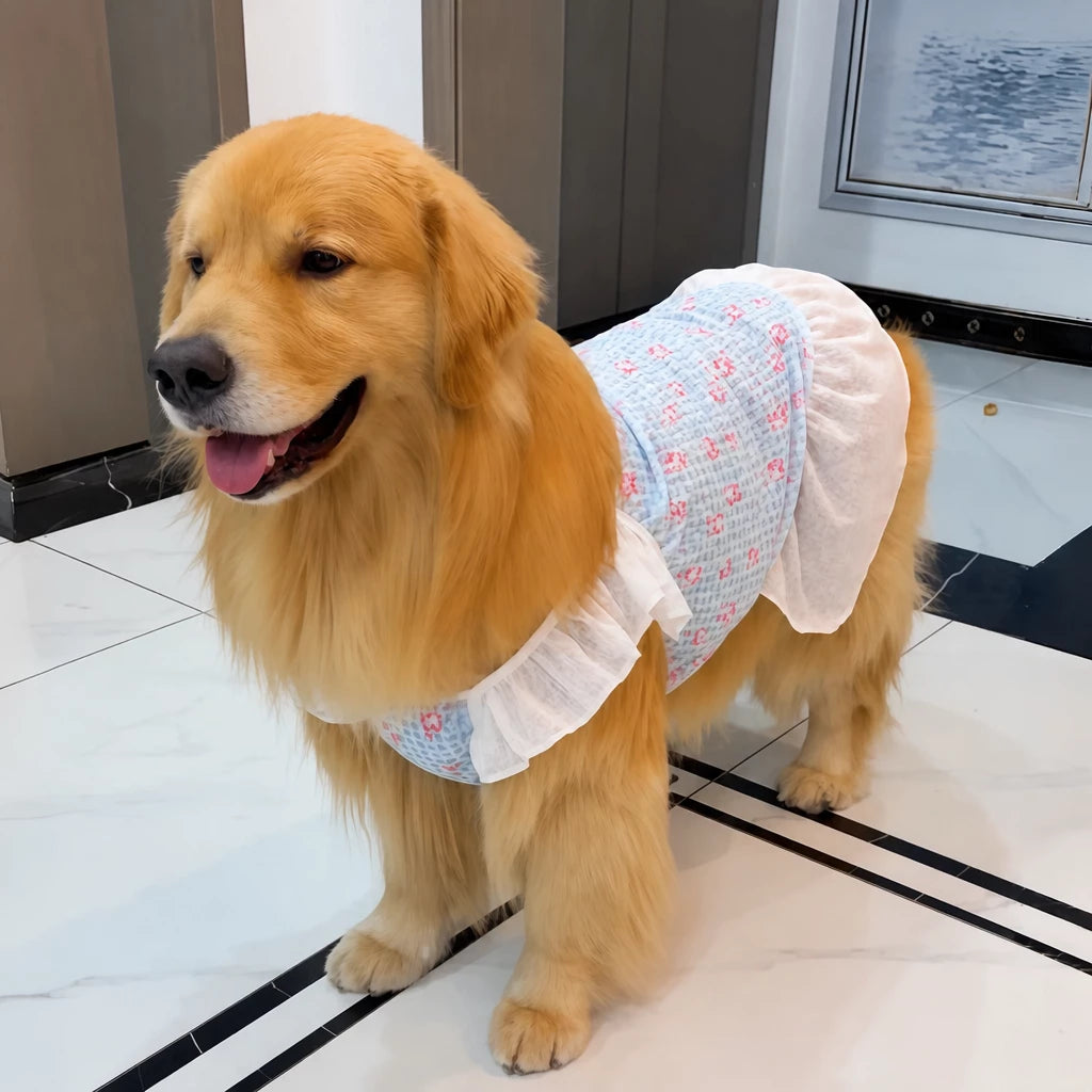 Lightweight Mesh Dog Dress for Warm-Weather Lounging