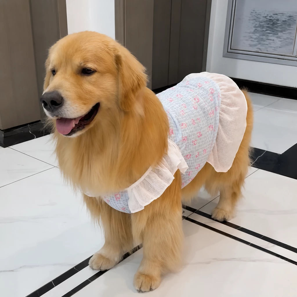 Lightweight Mesh Dog Dress for Warm-Weather Lounging