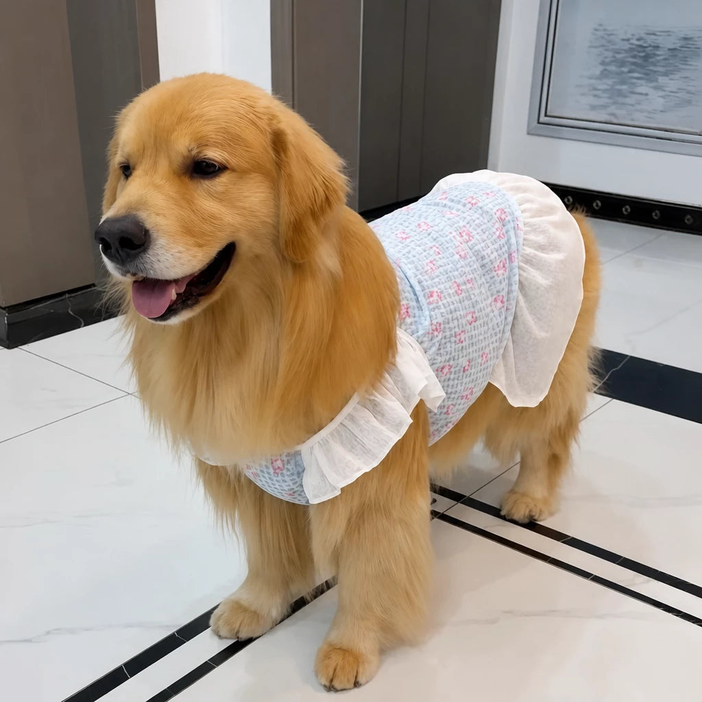 Lightweight Mesh Dog Dress for Warm-Weather Lounging