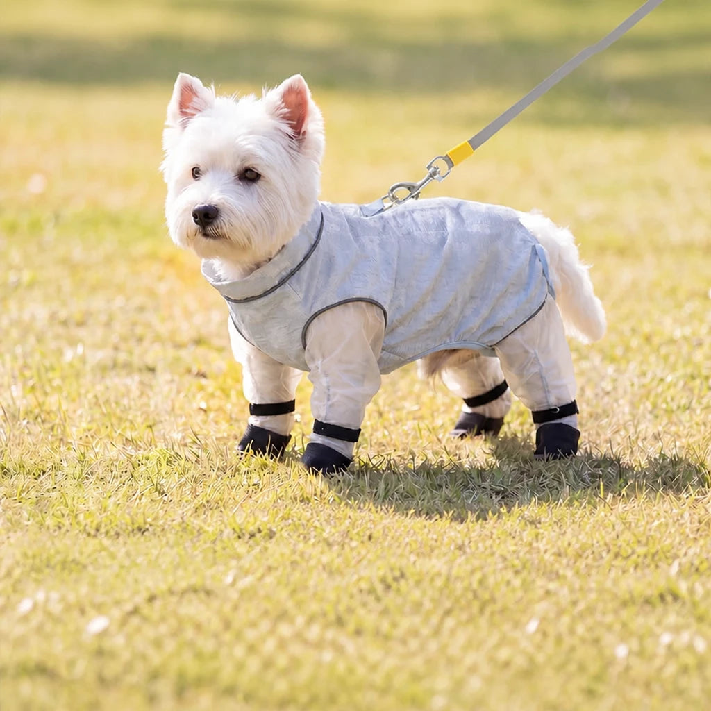 Lightweight Four-Leg Mesh Suit for Small Dogs