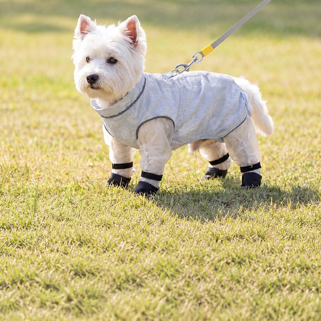 Lightweight Four-Leg Mesh Suit for Small Dogs