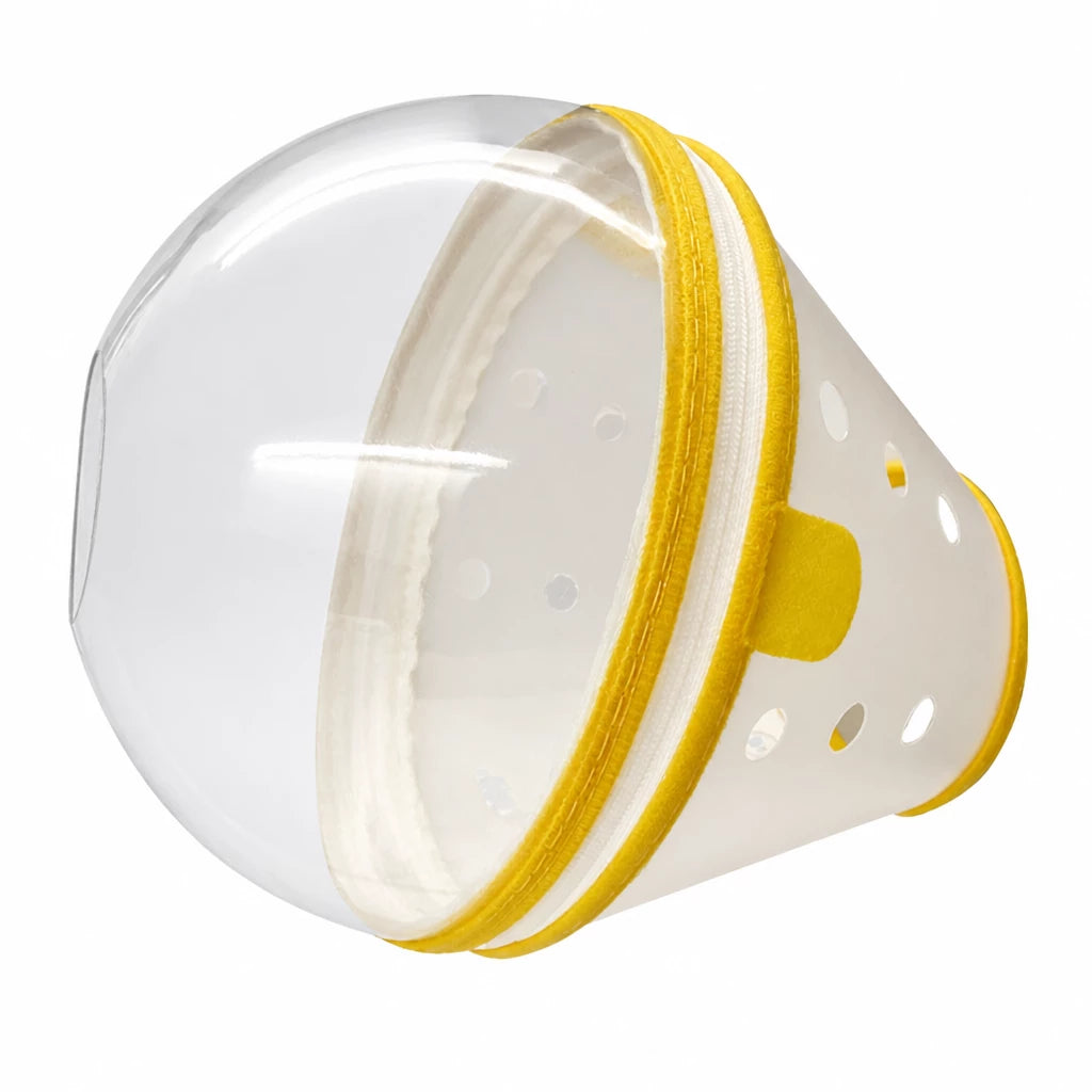 Adjustable Plastic Recovery Cone for Dogs | Elizabethan Collar