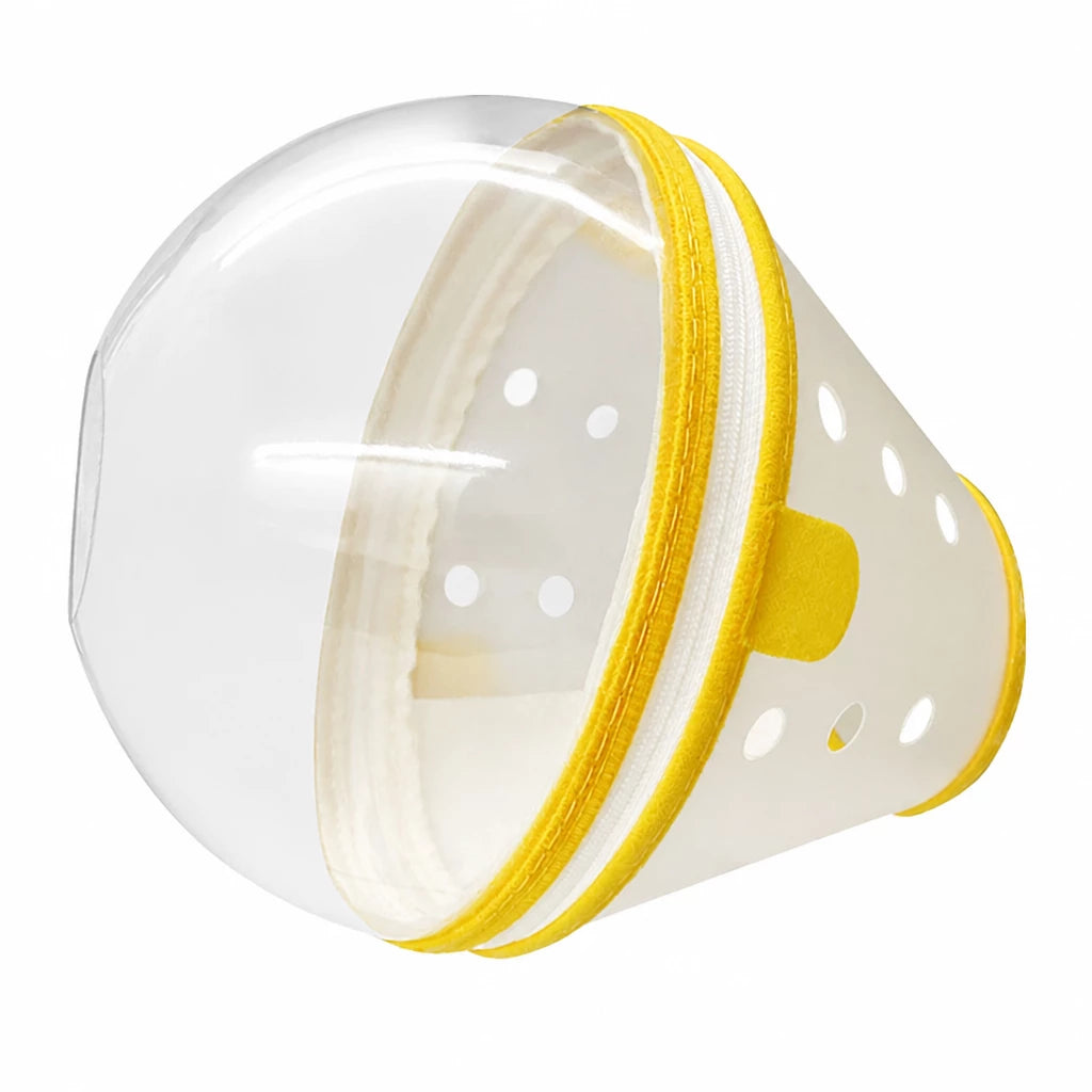 Adjustable Plastic Recovery Cone for Dogs | Elizabethan Collar