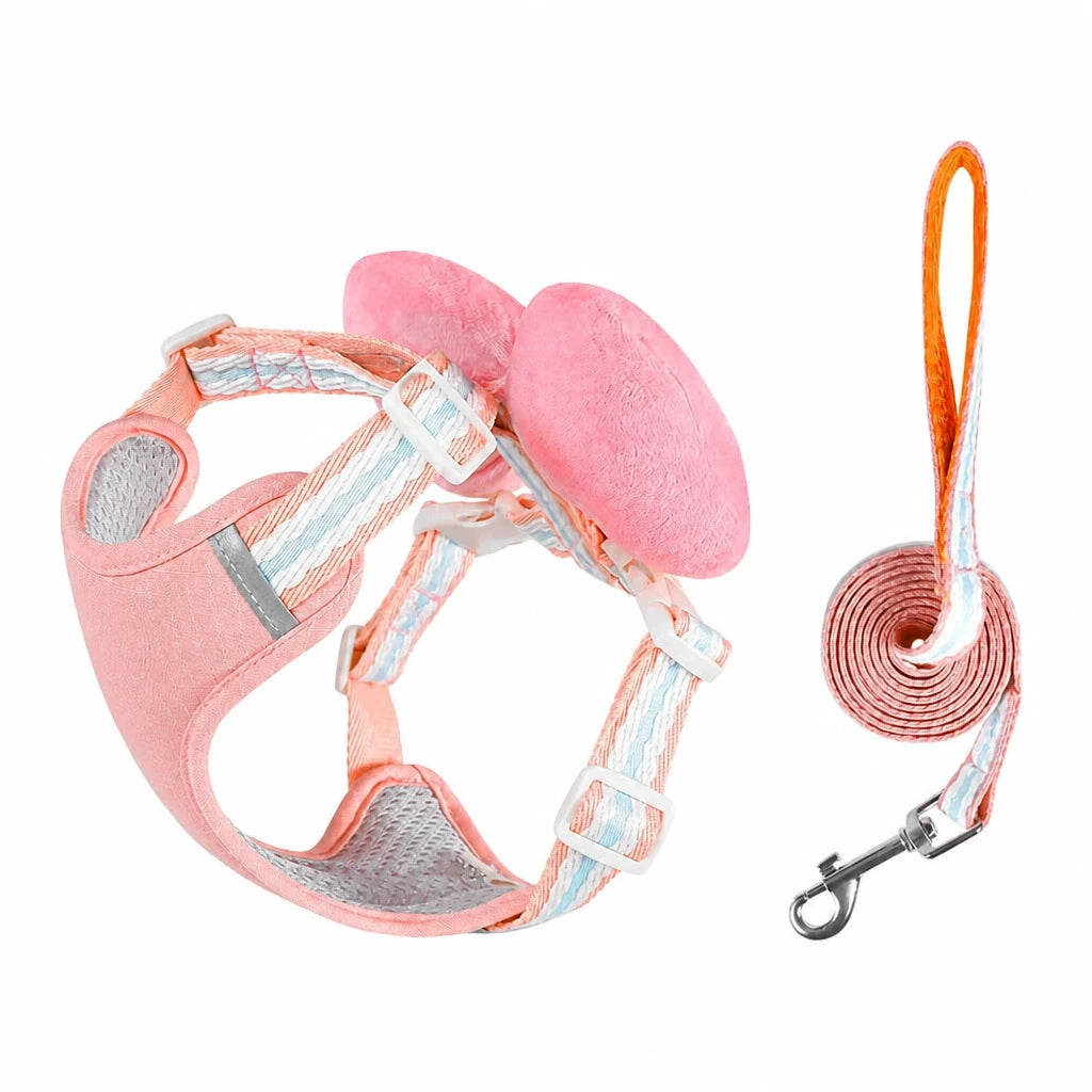 Small Dog Harness & Leash