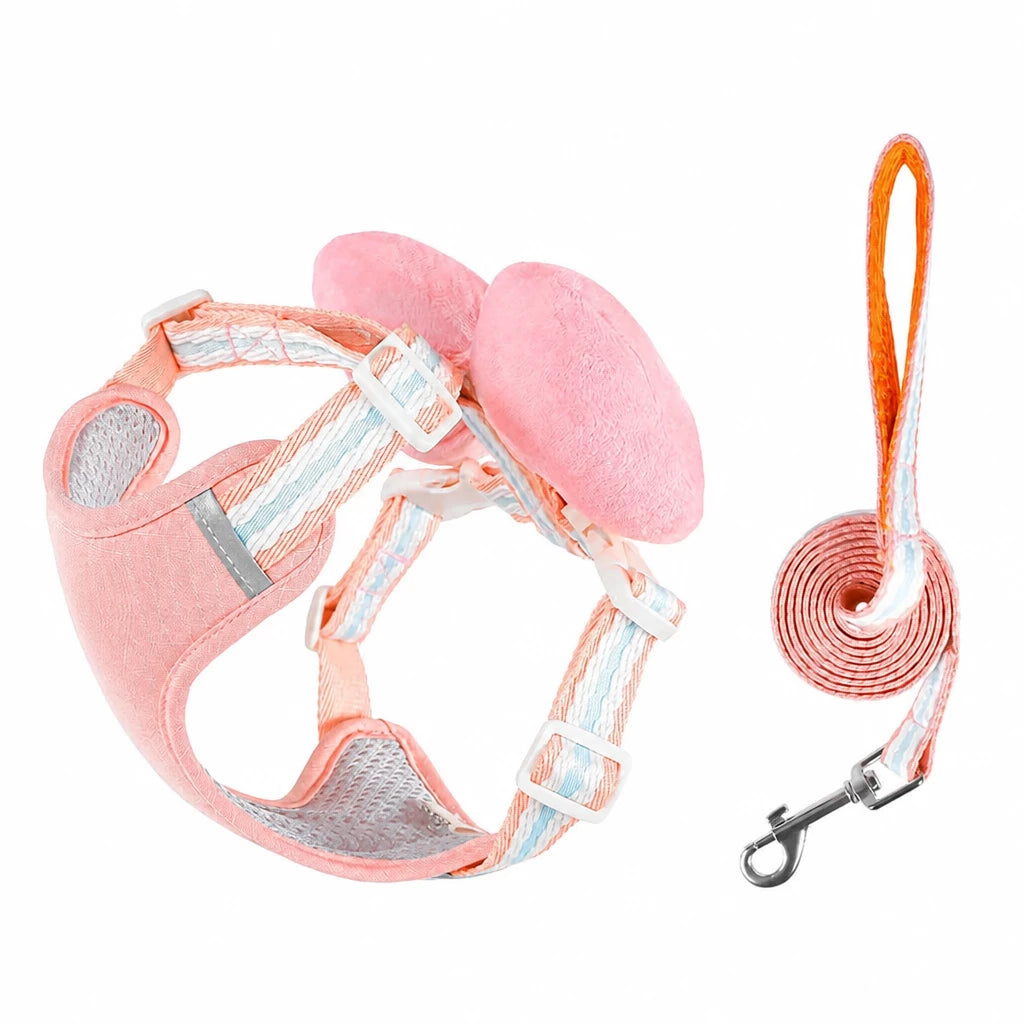 Small Dog Harness & Leash