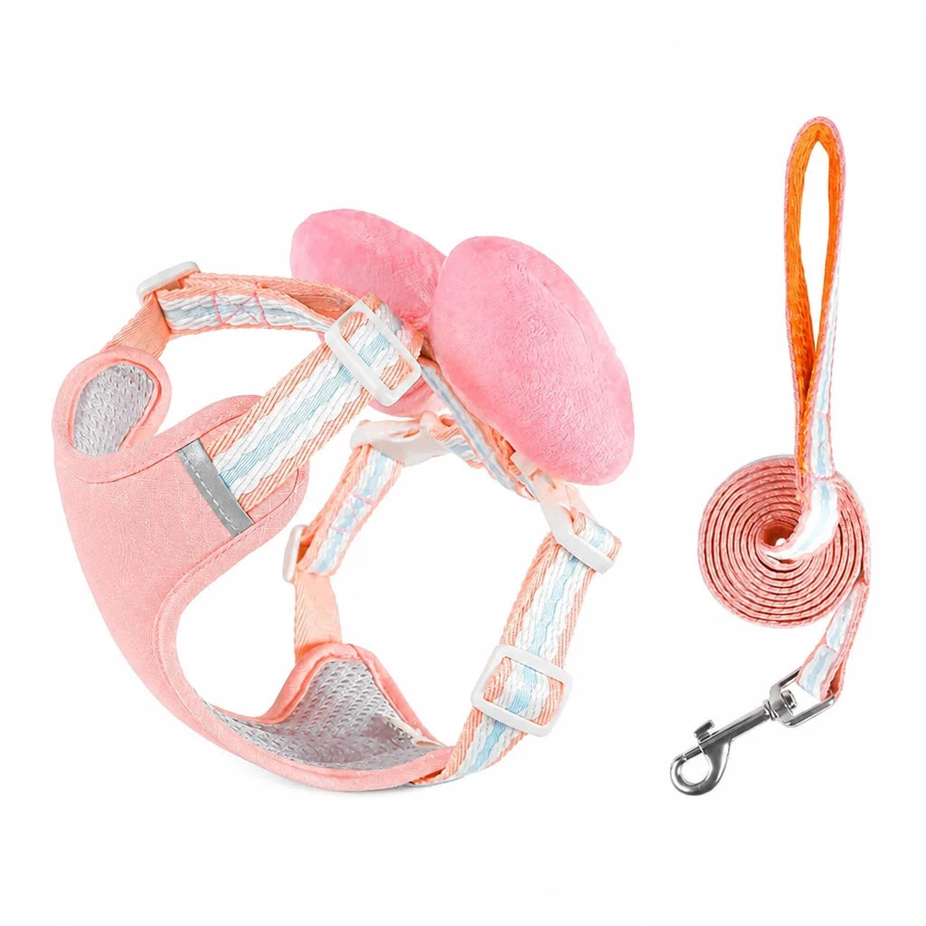 Small Dog Harness & Leash