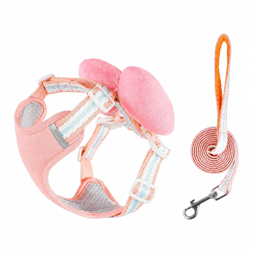 Small Dog Harness & Leash
