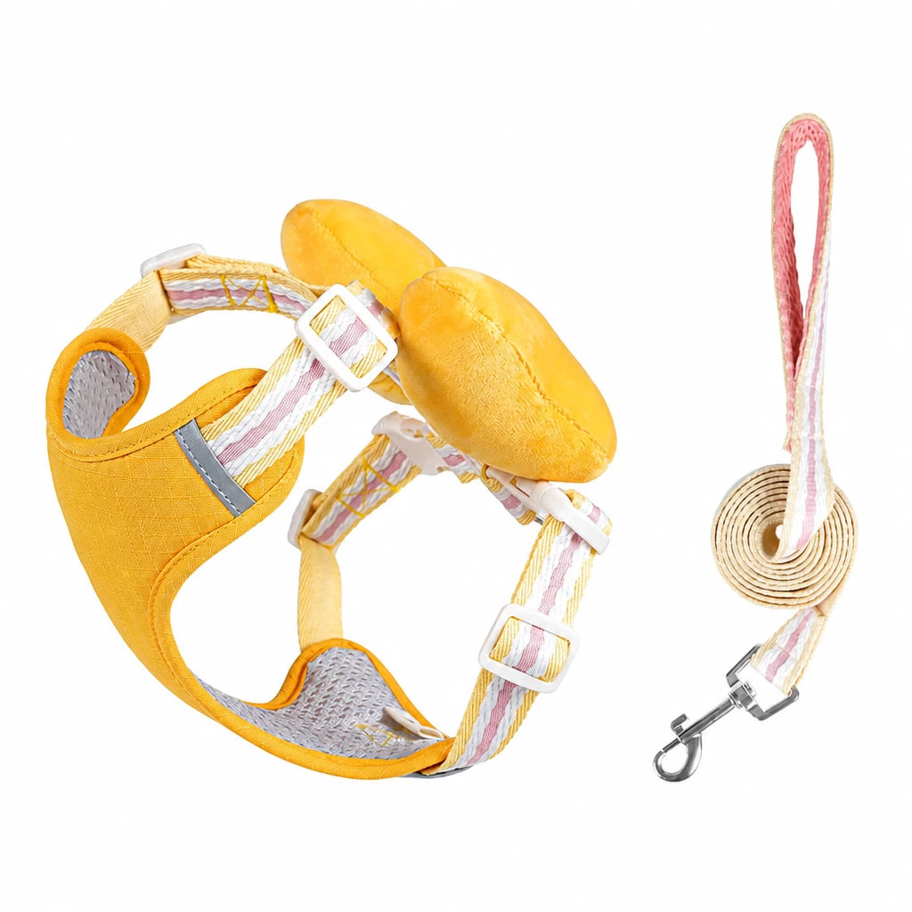 Small Dog Harness & Leash