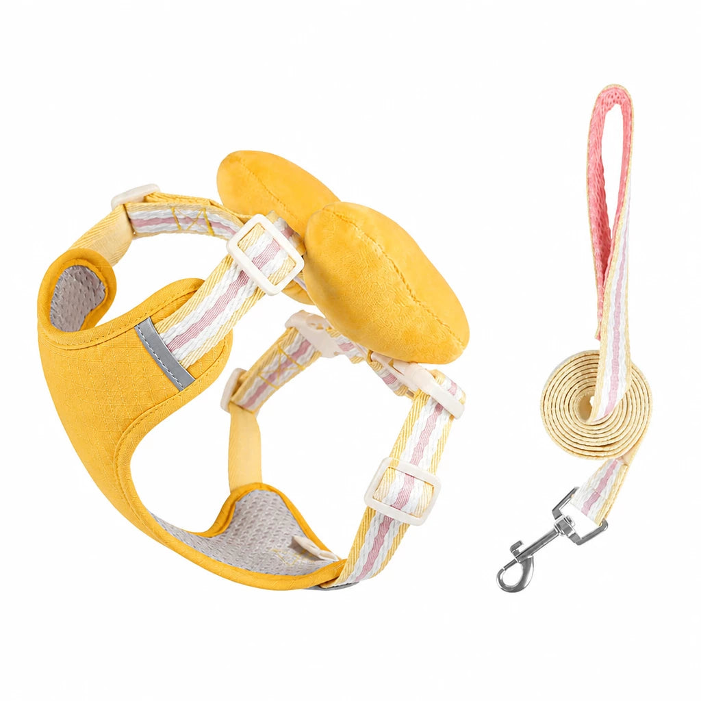 Small Dog Harness & Leash