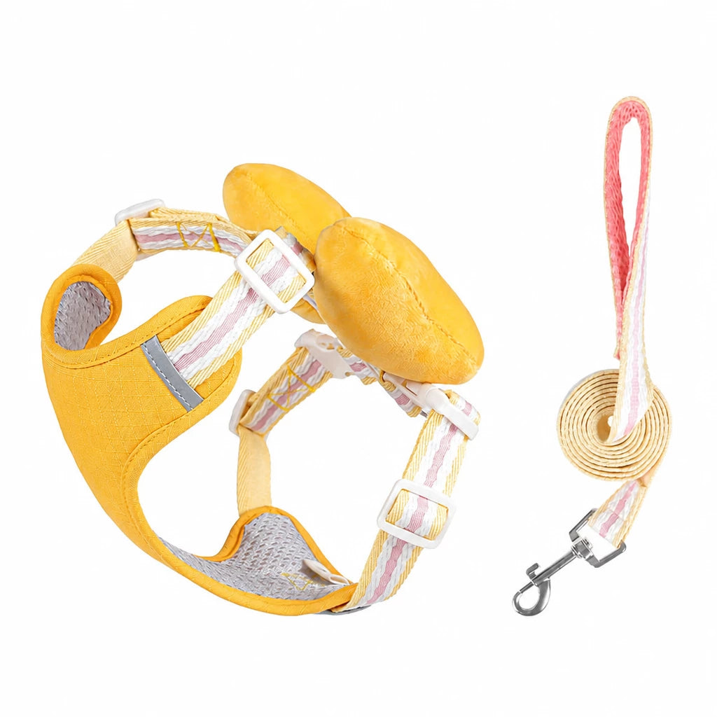 Small Dog Harness & Leash