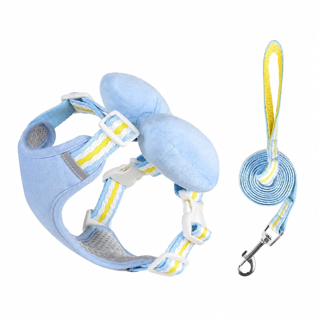 Small Dog Harness & Leash