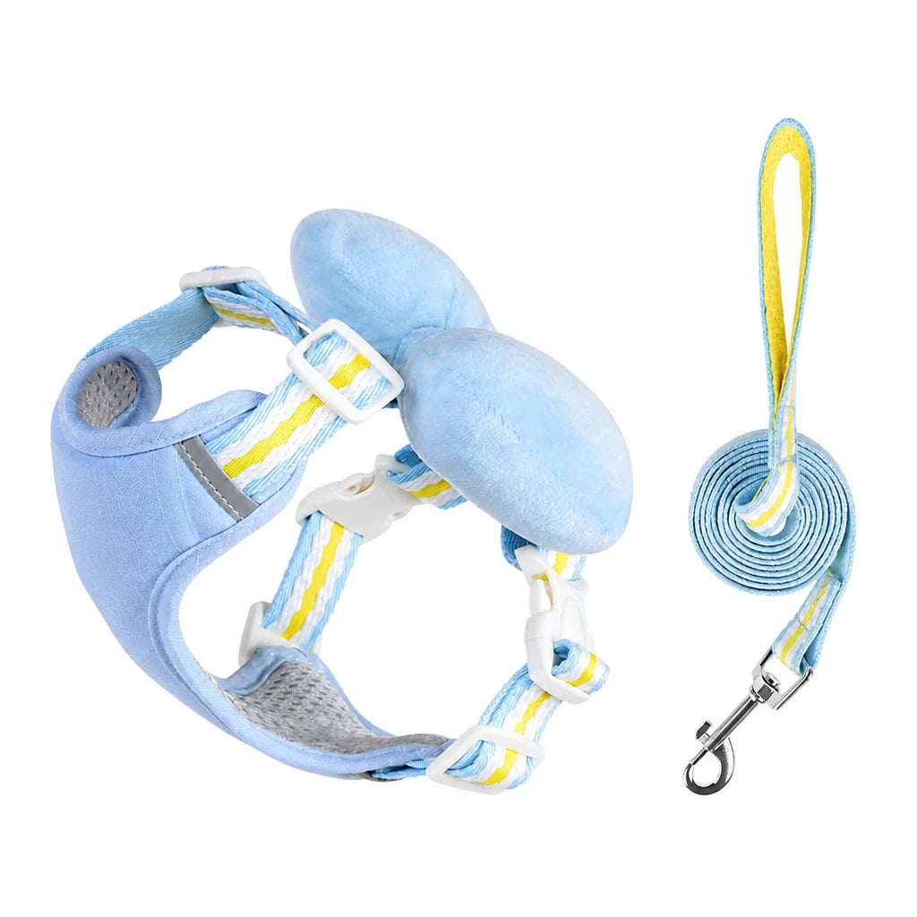 Small Dog Harness & Leash