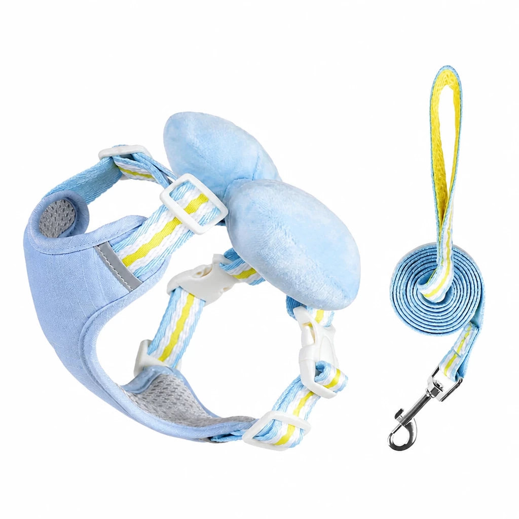 Small Dog Harness & Leash