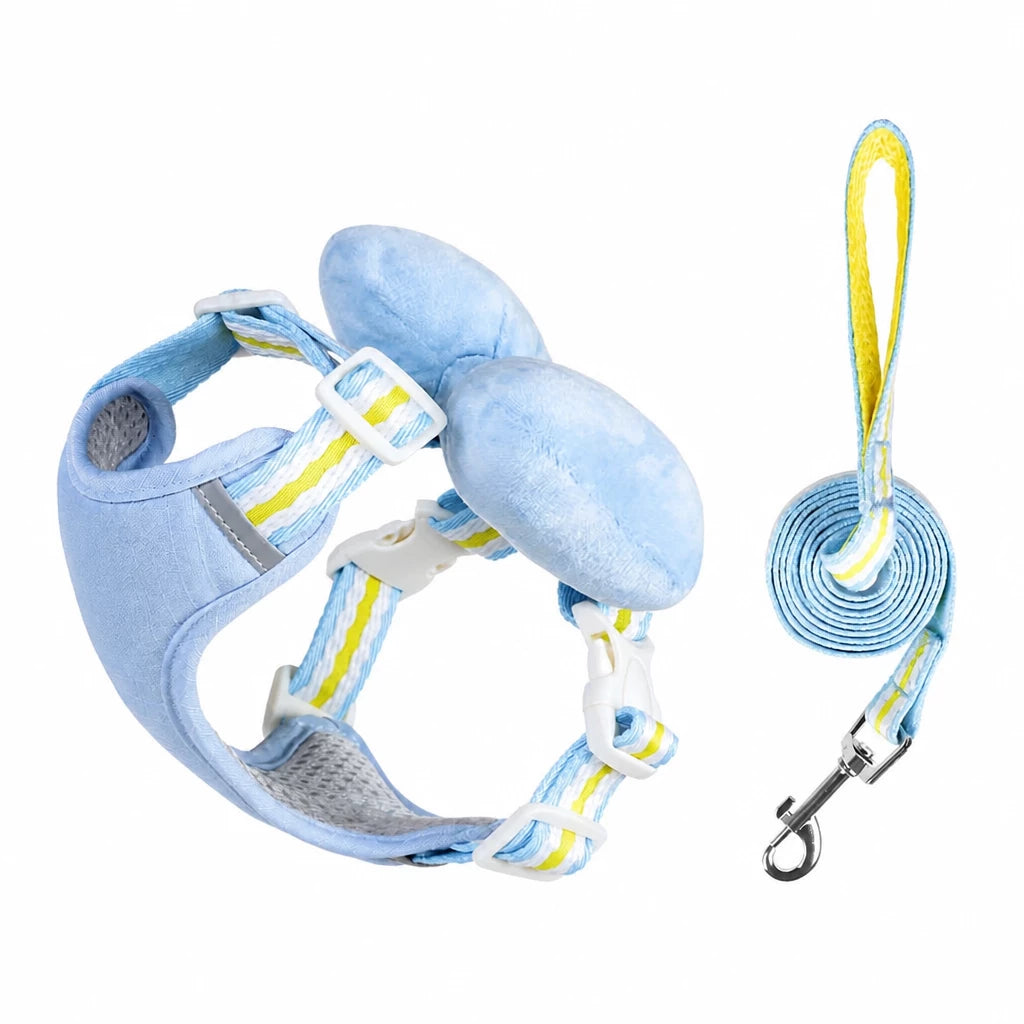 Small Dog Harness & Leash