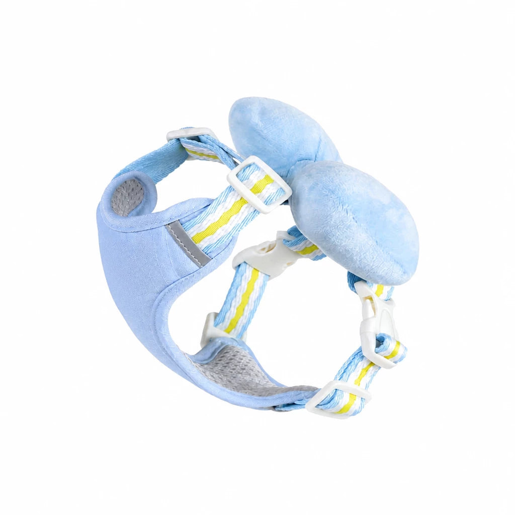 Small Dog Harness & Leash