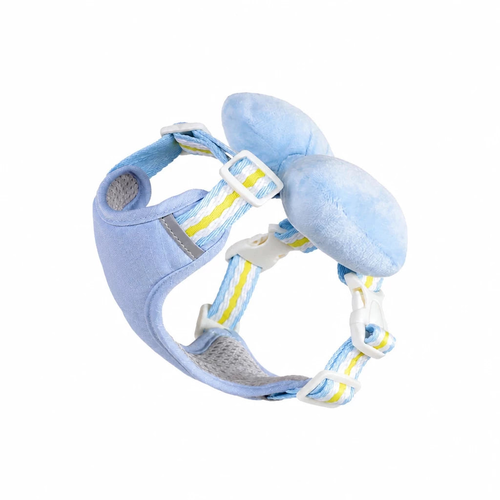 Small Dog Harness & Leash