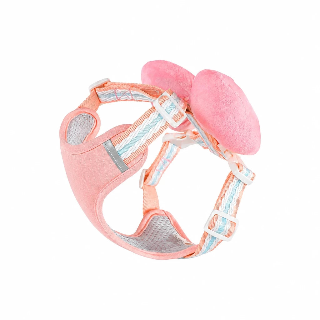 Small Dog Harness & Leash