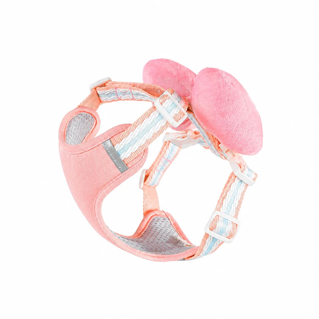 Small Dog Harness & Leash