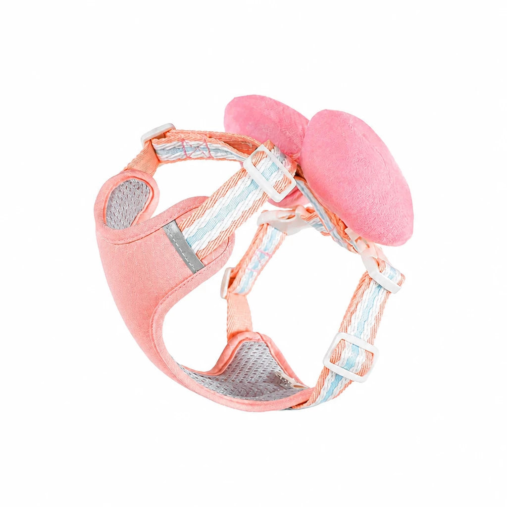 Small Dog Harness & Leash