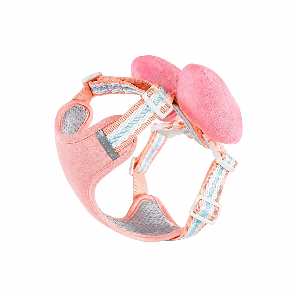 Small Dog Harness & Leash