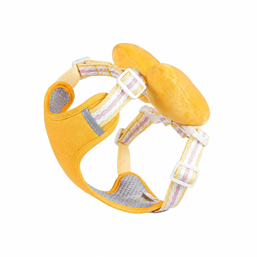 Small Dog Harness & Leash