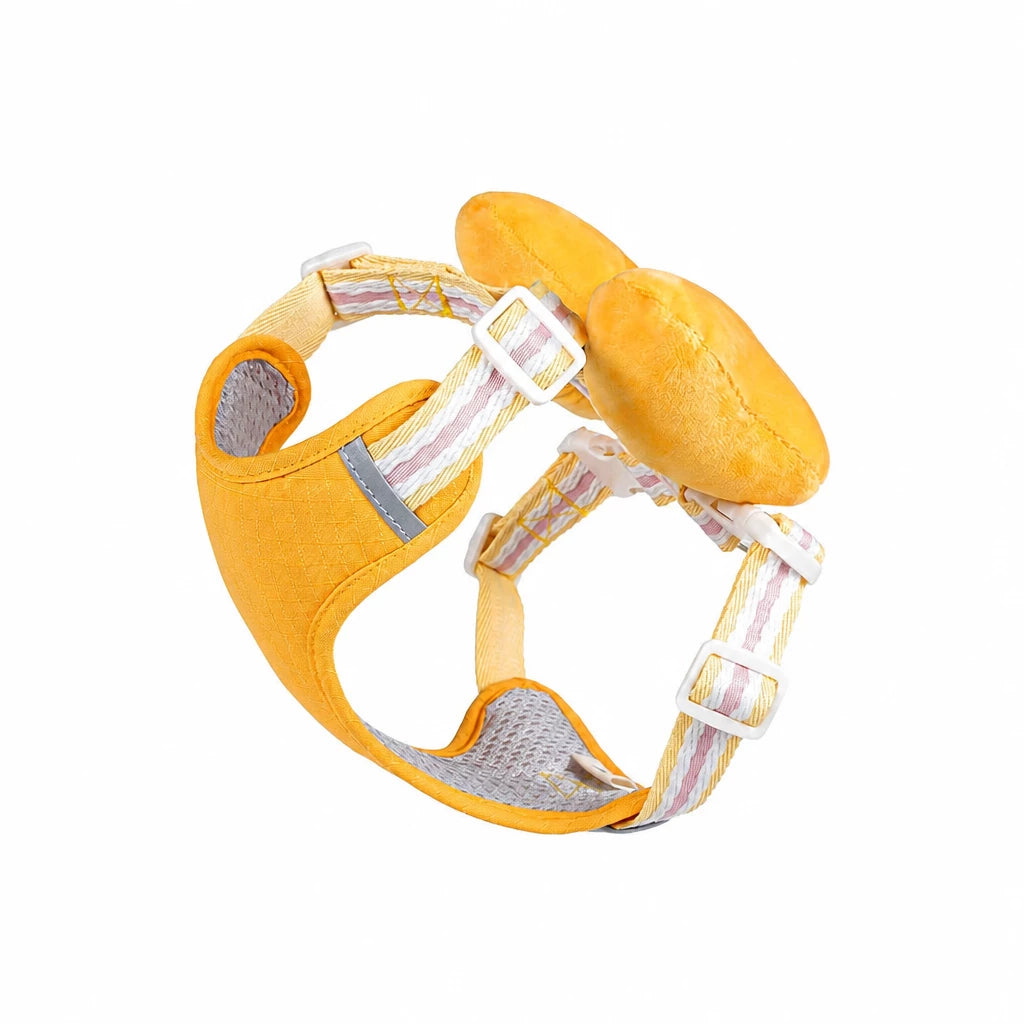 Small Dog Harness & Leash