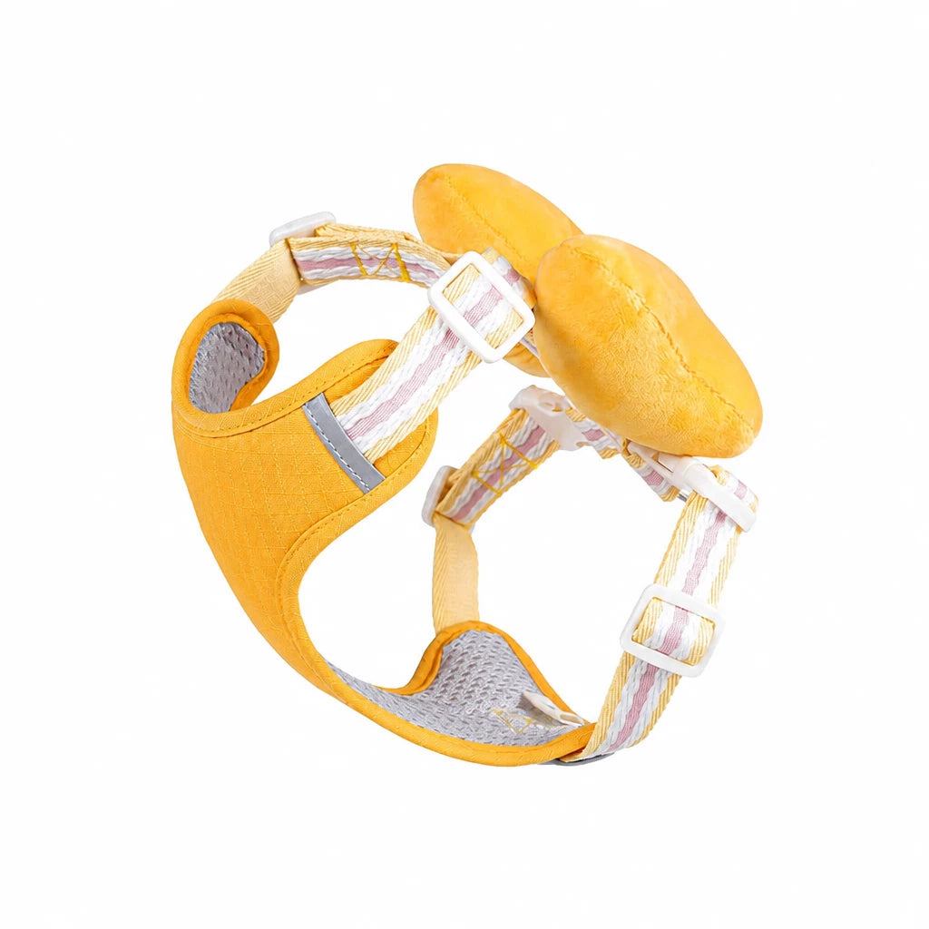 Small Dog Harness & Leash