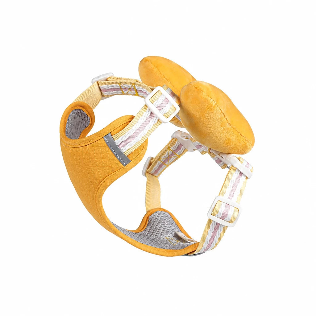 Small Dog Harness & Leash