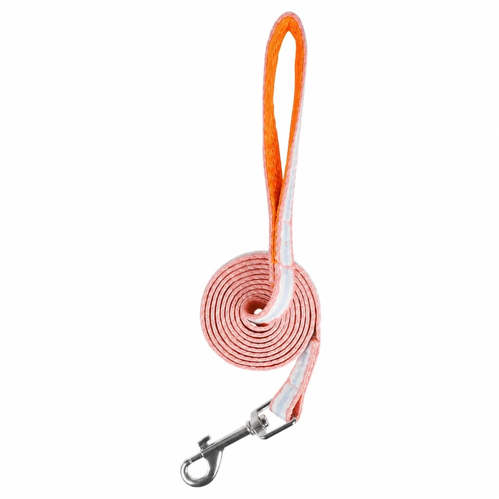Small Dog Harness & Leash
