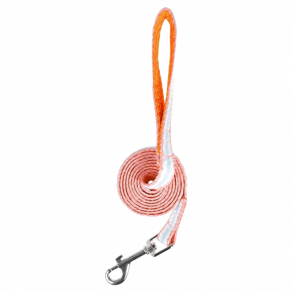 Small Dog Harness & Leash
