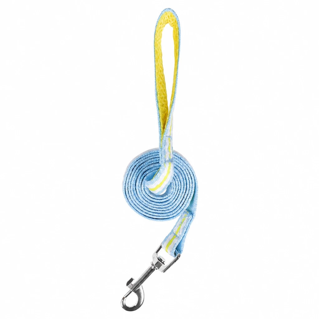 Small Dog Harness & Leash