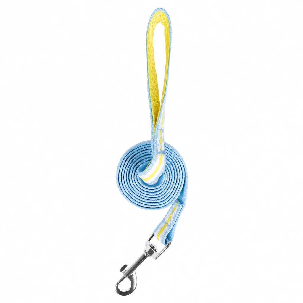 Small Dog Harness & Leash