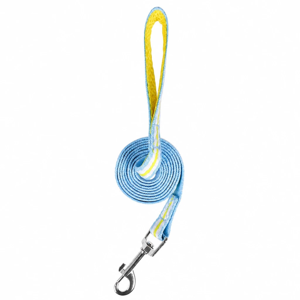 Small Dog Harness & Leash