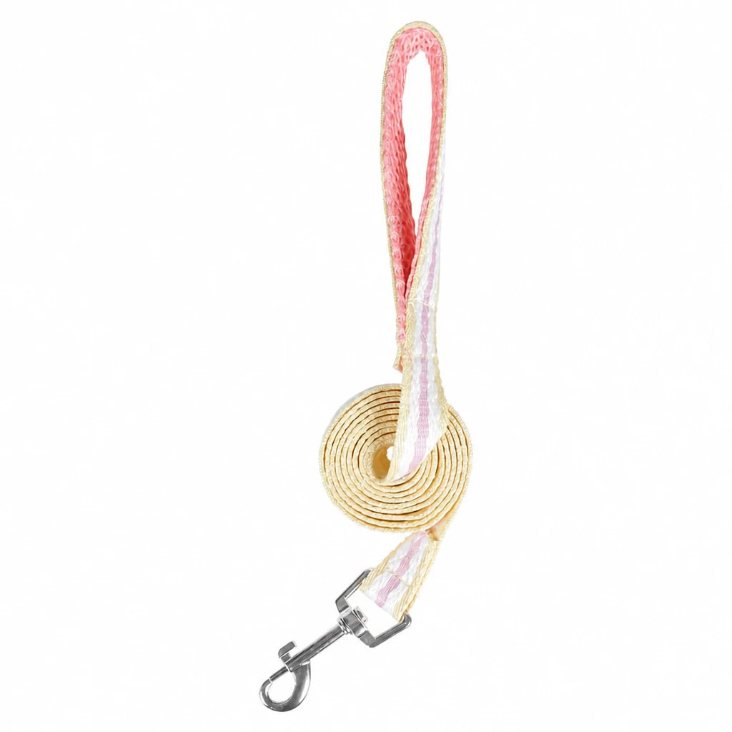 Small Dog Harness & Leash