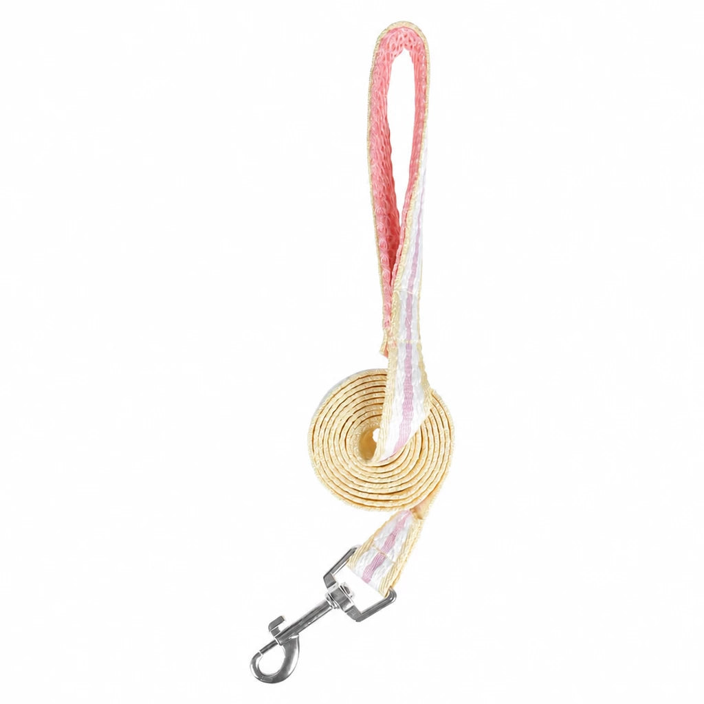 Small Dog Harness & Leash