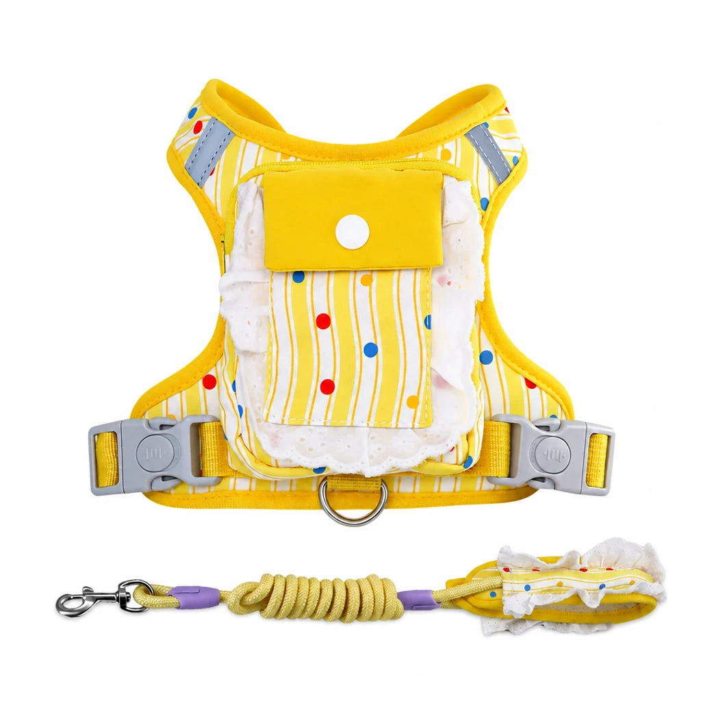 Vest-Style Harness and Leash Set for Small to Medium Dogs