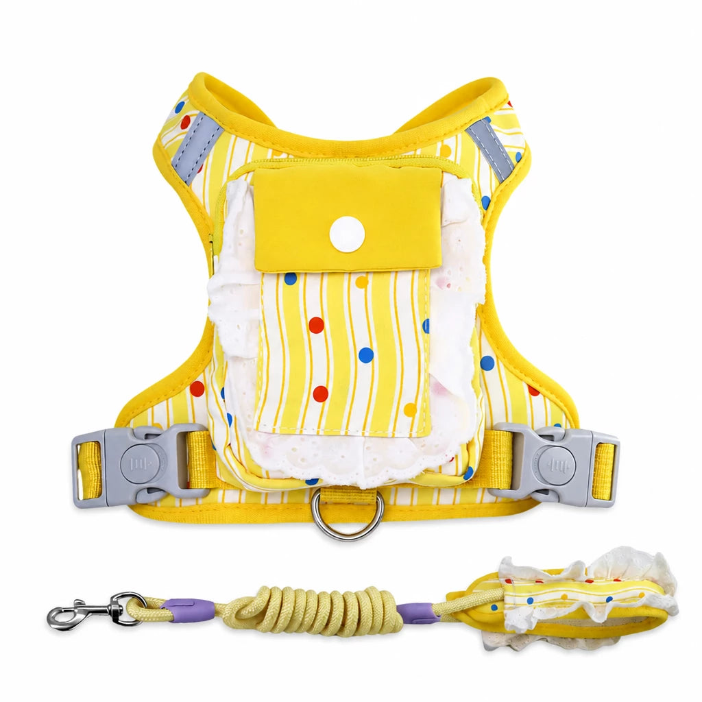 Vest-Style Harness and Leash Set for Small to Medium Dogs