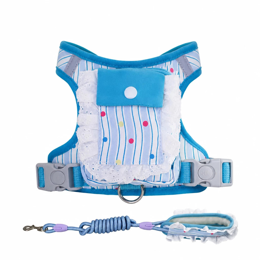 Vest-Style Harness and Leash Set for Small to Medium Dogs