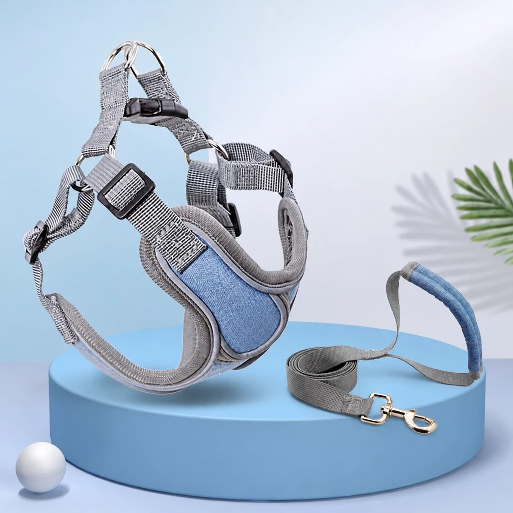 Dog Harness and Leash Set for Small to Medium Dogs