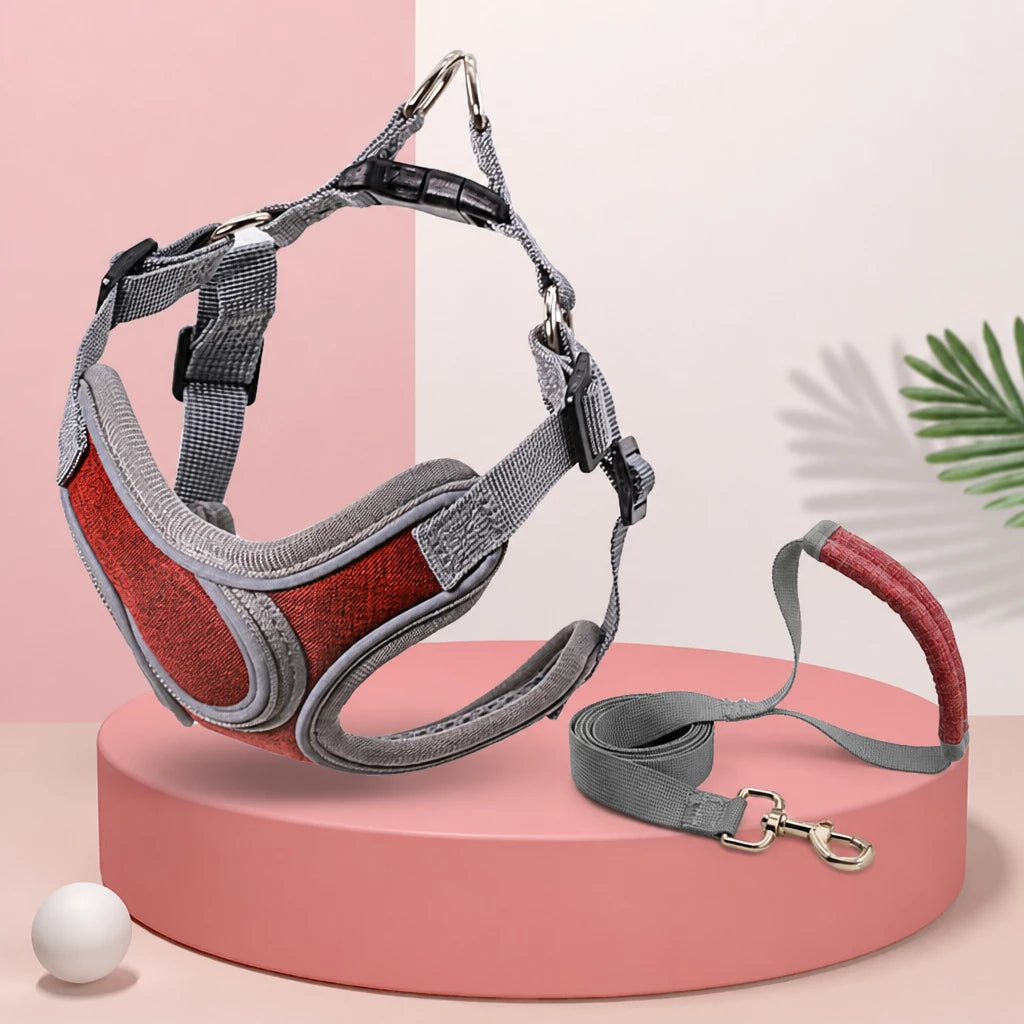 Dog Harness and Leash Set for Small to Medium Dogs