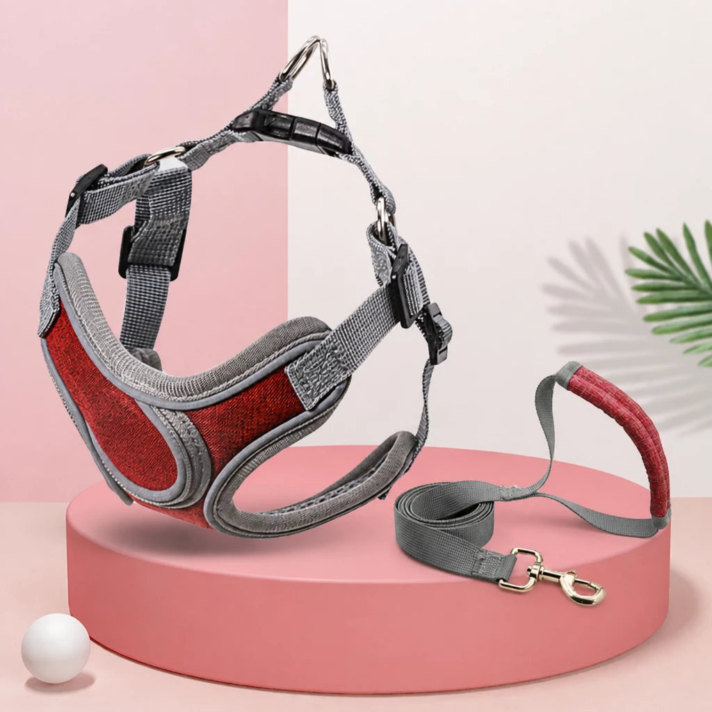 Dog Harness and Leash Set for Small to Medium Dogs