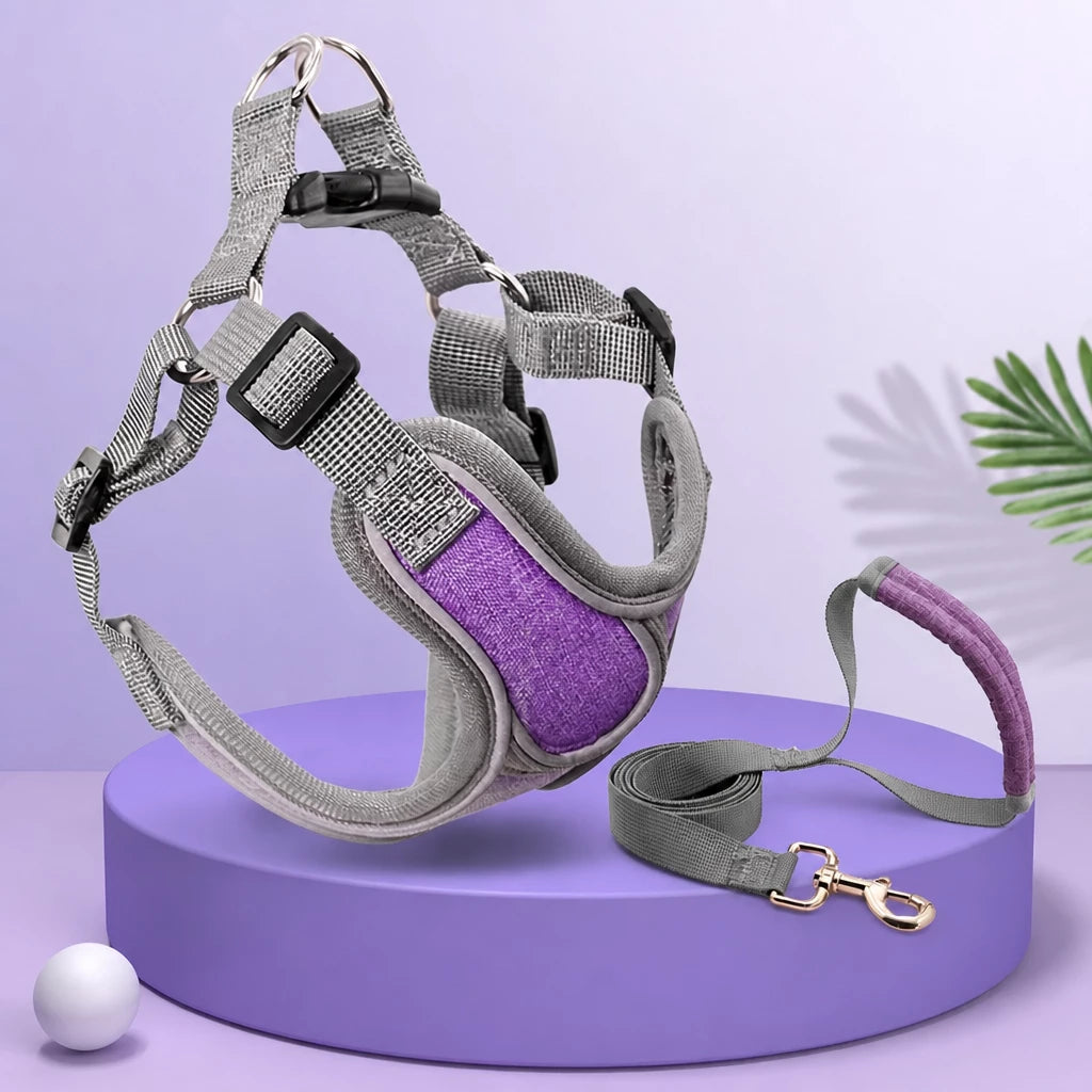 Dog Harness and Leash Set for Small to Medium Dogs